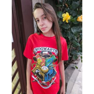 Camiseta Casas de Hogwarts Harry Potter